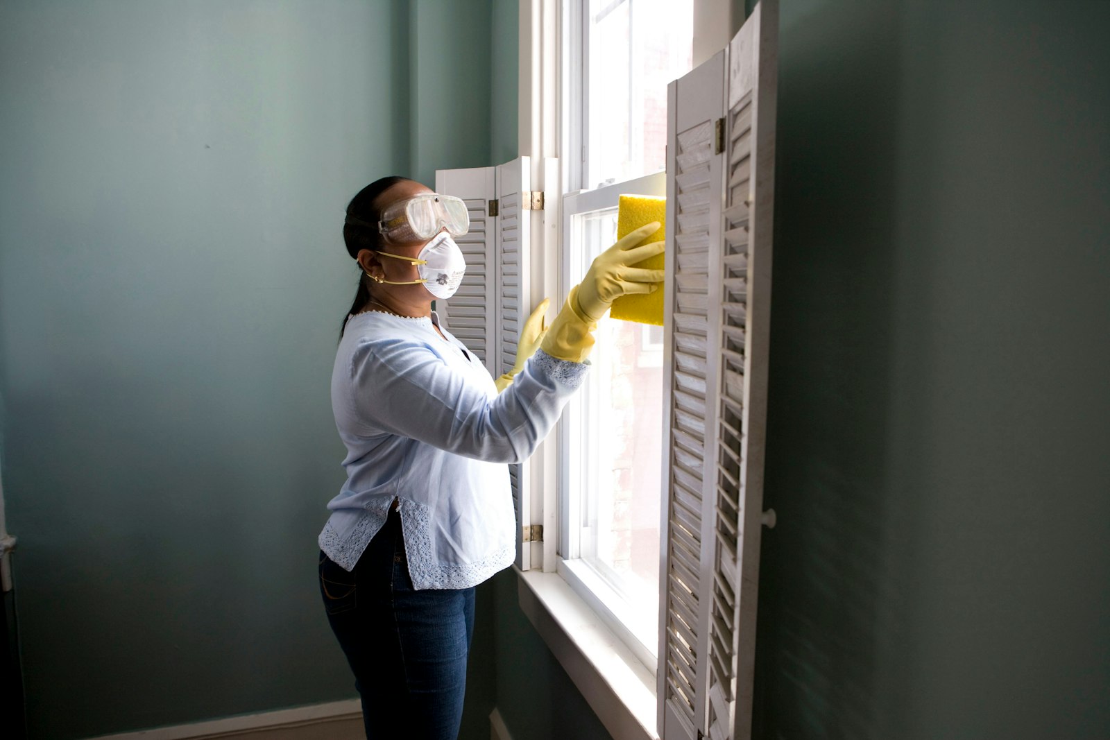 Mold Remediation service in Mount Prospect, IL